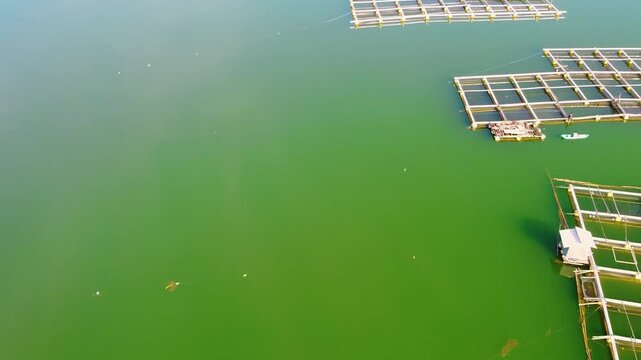 Scenic drone footage reveals fish farming cages on the surface of Danau Batur, Bali. This high-altitude crater lake supports aquaculture at the base of Mount Batur.