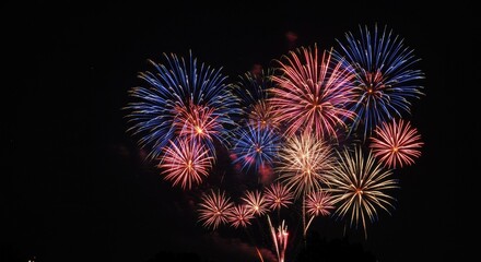 Colorful fireworks exploding in night sky during celebration  