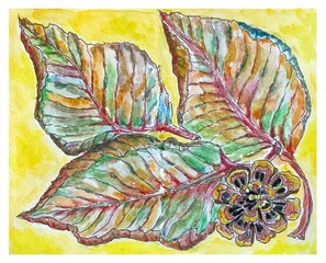 Autumn leaves, pine cone, watercolor illustration