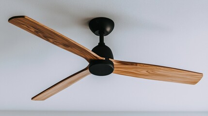Ceiling Fan with Wooden Blades