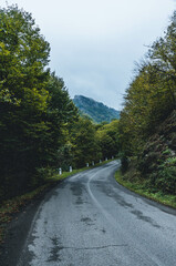 Fototapeta premium road to the mountains forest green in caucasus 