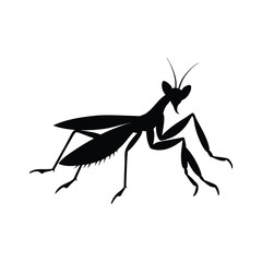 Praying mantis silhouette vector art illustration