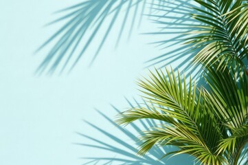 Fototapeta premium Mint Blue Tropical Leaf Shadow