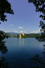 Obraz premium very small island on natural bled lake in summer with church in middle and beautiful green trees around with blue waters and clear blue sky