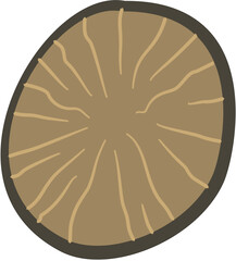 nutmeg seed cut, Myristica fragrans