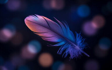 A close-up photograph of a single pink and purple feather against a dark background with bokeh effect.
