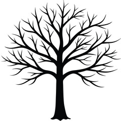 Obraz premium silhouette of tree