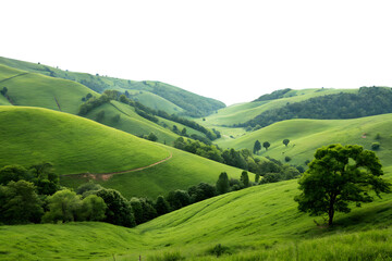 Obraz premium Rolling Green Hills and Lush Valley Views