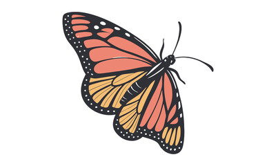 Fototapeta premium Colorful Monarch butterfly, butterflies silhouette on white background