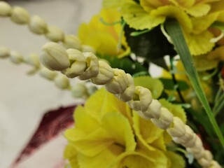 close up of yellow flower
