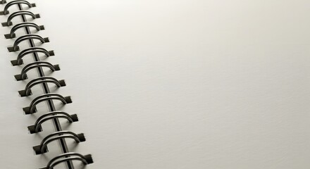 A spiraled notebook blank page along binder rings