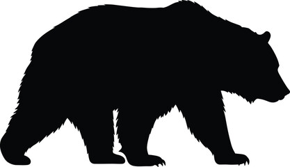 Detailed Realistic Digital Art Cinematic Lighting Majestic Bear Silhouette

