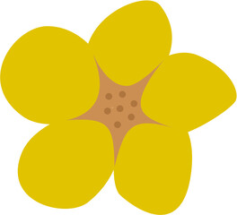 stylized Senna, food and beverage, herbal medicine