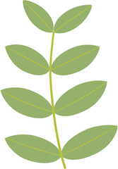 stylized Senna, food and beverage, herbal medicine