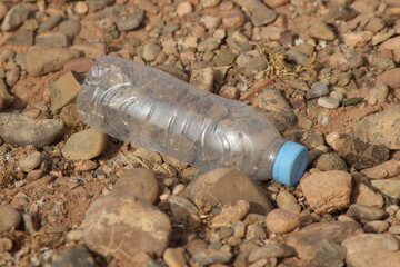 A plastic bottle lying on the ground, Plastic pollution, Plastic environmental impact