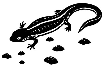 Fototapeta premium Skink sandfish silhouette design from high angle wildlife reptile, sandfish, skink, silhouette, reptile, lizard, animal, wildlife, desert, vector, illustration, graphic, design, monochrome, pattern, n