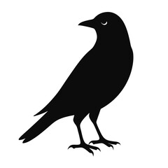 Fototapeta premium blackbird-perched-silhouette-vector-illustration-- (3).eps
