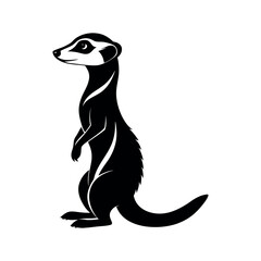 Meerkat Silhouette on White Background  