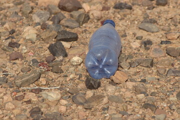 A plastic bottle lying on the ground, Plastic pollution, Plastic environmental impact