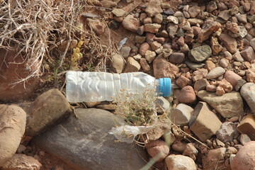 A plastic bottle lying on the ground, Plastic pollution, Plastic environmental impact