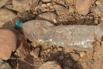A plastic bottle lying on the ground, Plastic pollution, Plastic environmental impact