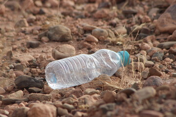A plastic bottle lying on the ground, Plastic pollution, Plastic environmental impact