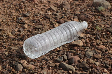 A plastic bottle lying on the ground, Plastic pollution, Plastic environmental impact