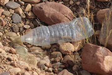 A plastic bottle lying on the ground, Plastic pollution, Plastic environmental impact