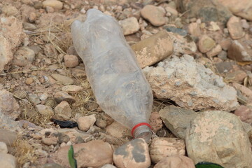 A plastic bottle lying on the ground, Plastic pollution, Plastic environmental impact