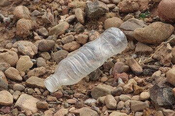 A plastic bottle lying on the ground, Plastic pollution, Plastic environmental impact