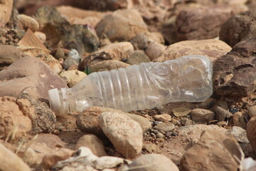 A plastic bottle lying on the ground, Plastic pollution, Plastic environmental impact