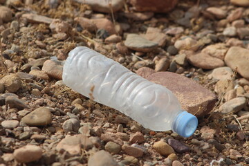 A plastic bottle lying on the ground, Plastic pollution, Plastic environmental impact