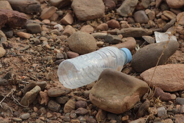 A plastic bottle lying on the ground, Plastic pollution, Plastic environmental impact