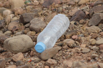 A plastic bottle lying on the ground, Plastic pollution, Plastic environmental impact