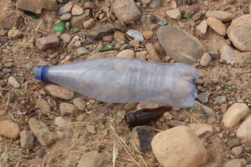A plastic bottle lying on the ground, Plastic pollution, Plastic environmental impact