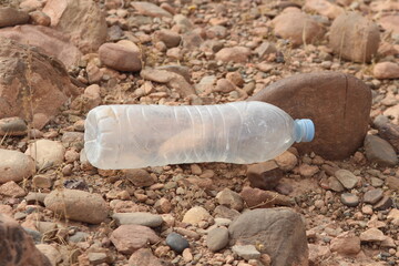 A plastic bottle lying on the ground, Plastic pollution, Plastic environmental impact