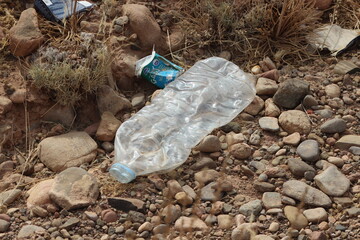 A plastic bottle lying on the ground, Plastic pollution, Plastic environmental impact