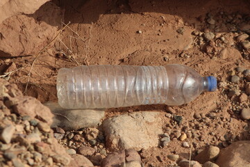 A plastic bottle lying on the ground, Plastic pollution, Plastic environmental impact