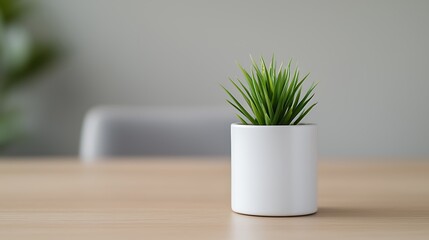 Obraz premium Minimalist greenery: Fresh green plant in small white pot brings a touch of nature and tranquility to any space.