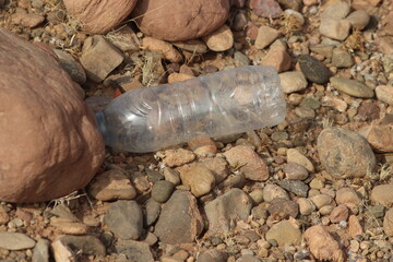 A plastic bottle lying on the ground, Plastic pollution, Plastic environmental impact