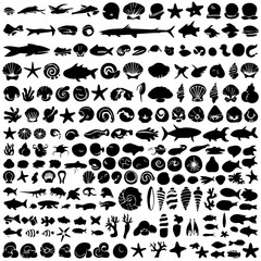 Large collection of black marine life silhouettes including fish, seashells, starfish, corals, and sea creatures, arranged in neat rows on a white background.