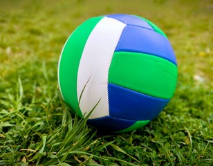 volleyball ball standing on the grass. Volleyball ball on greenery field in park. Colorful ball on the grass