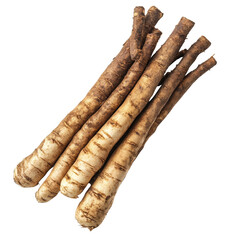 Fresh burdock roots isolated on a white background showcasing their unique texture and color, Fresh Burdock roots isolated on white background