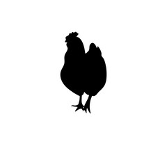 Chicken black silhouettes icon