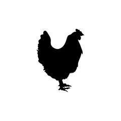 Chicken black silhouettes icon