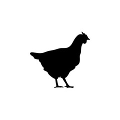 Chicken black silhouettes icon