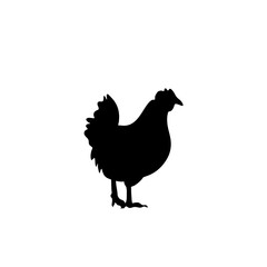 Chicken black silhouettes icon
