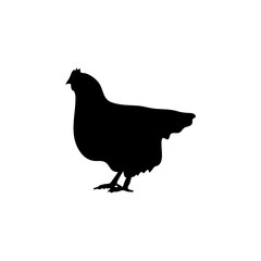 Chicken black silhouettes icon