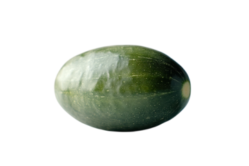 An alluring green zucchini freshly picked radiating health in a vibrant culinary scene with on transparent background