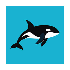 Obraz premium Flat illustration of a black and white orca whale swimming in blue ocean water